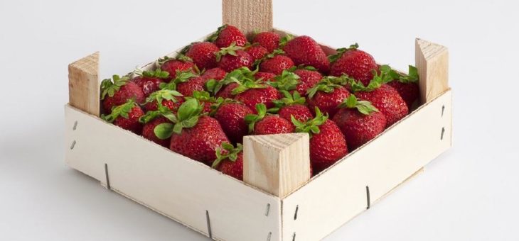 Erdbeeren – in Holz bestens verpackt