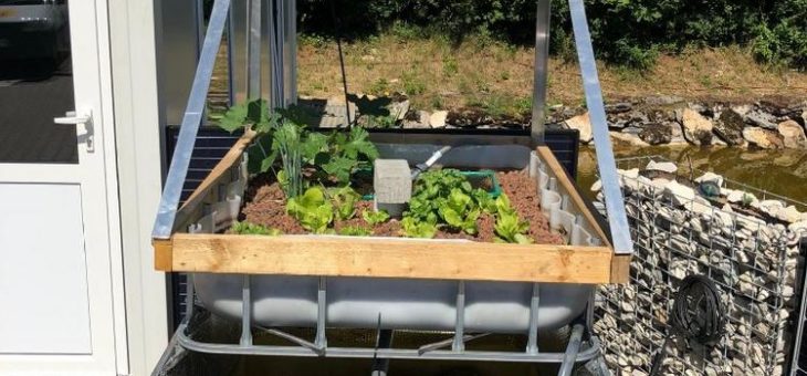 Aquaponic Hydroponic in Kombination mit einer Fotovoltaik-Solaranlage