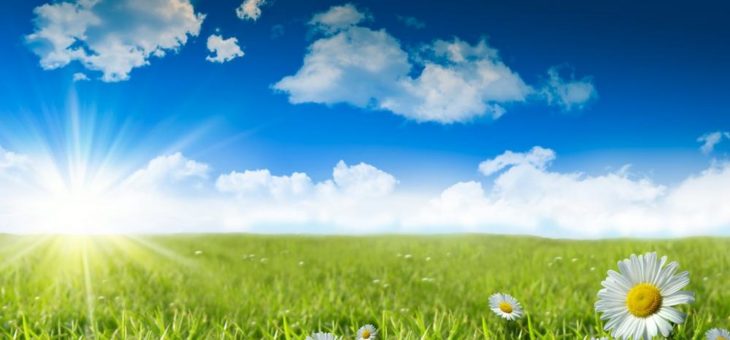 Photovoltaik Freilandanlagen – was ist zu beachten ?