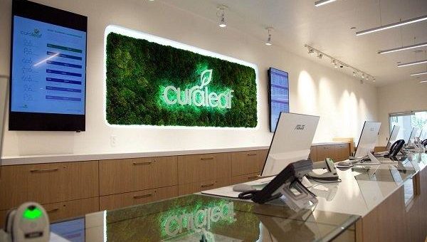 Cannabis: Curaleaf schießt an die Spitze