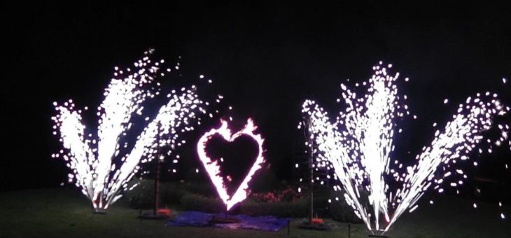 Feuerwerk zur Hochzeit beliebt wie noch nie