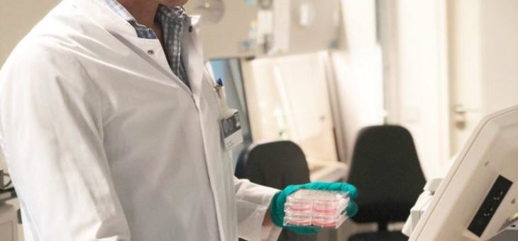 Wie die erblich bedingte Herzmuskelerkrankung Kardiomyopathie stoppen? Forscher liefern neue Erkenntnisse