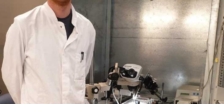 Herzmuskelerkrankung Kardiomyopathie: Schlüssel für passgenaue Therapie entdeckt