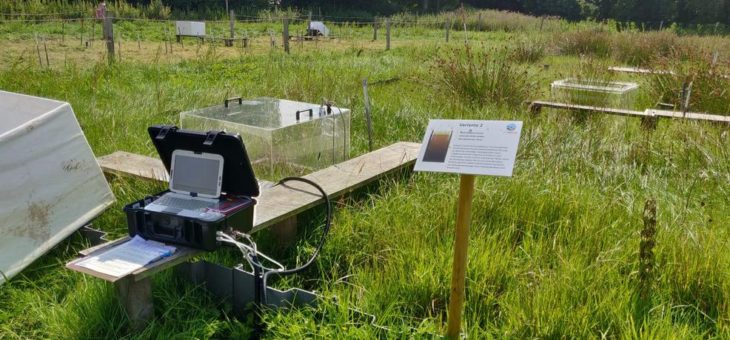 Wiederherstellung von Lebensräumen auf Hochmoorgrünland – eine Chance für Klima und Natur