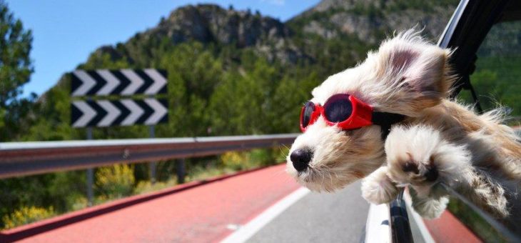 Neue Energie-Seminare nach der Sommerpause