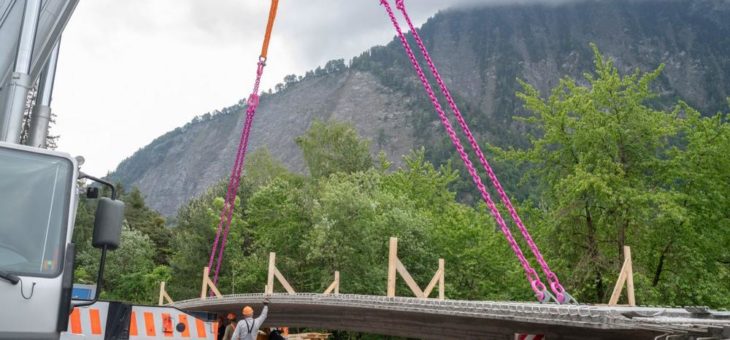 Ein Brücke lernt fliegen