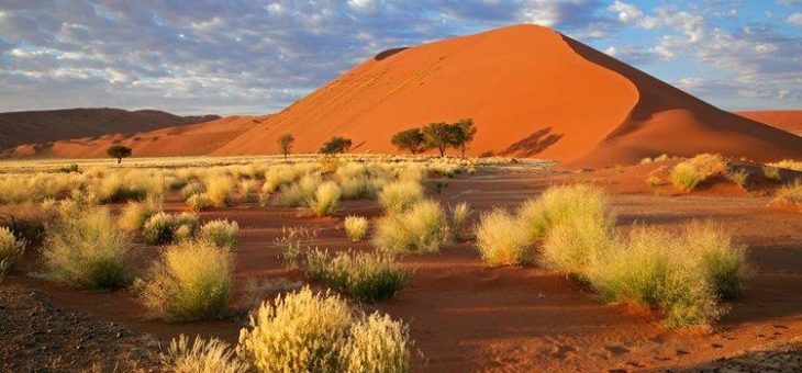 Osino Resources: Erfolg in Namibia mit australischem Explorationskonzept