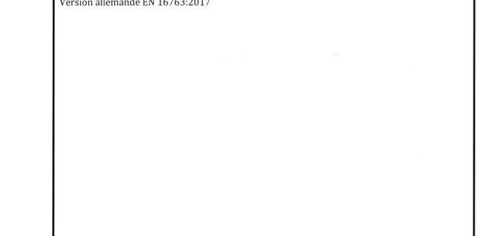 Neue DIN EN 16763 für Dienstleistungen für Sicherheitsanlagen