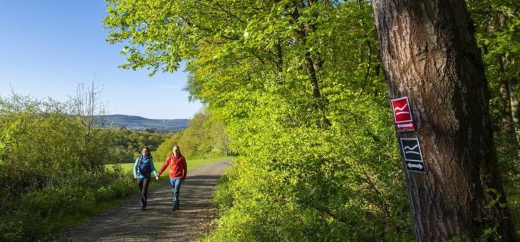 Rothaarsteig erneut als Qualitätsweg zertifiziert