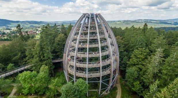 10 Jahre Baumwipfelpfad Bayerischer Wald: Das Baum-Ei feiert Geburtstag