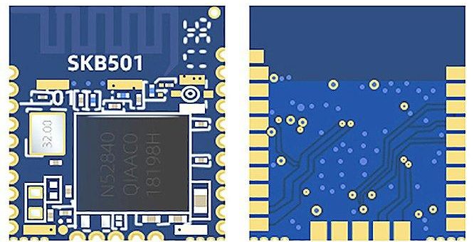 SKB501 + VG05 – Bluetooth 5+BLE von Skylab