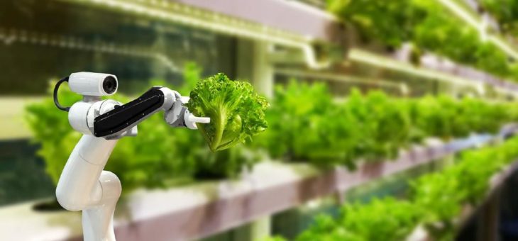 Digitalisierung ermöglicht produktivere und nachhaltigere Agrarwirtschaft