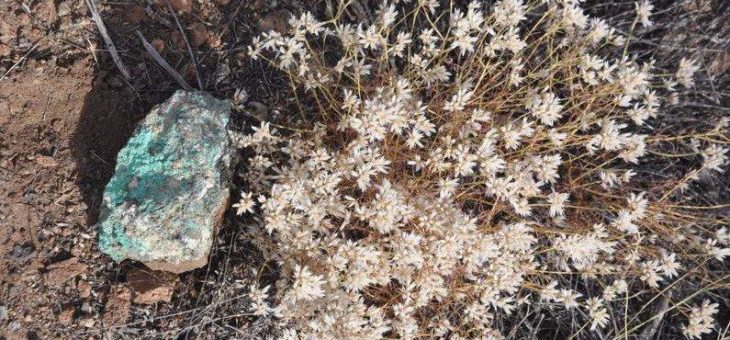 Kurze Verzögerung bei Altona Minings Transaktion aufgrund einer Naturkatastrophe