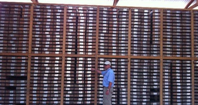 Solides Wachstum in China treibt Rohstoffnachfrage an