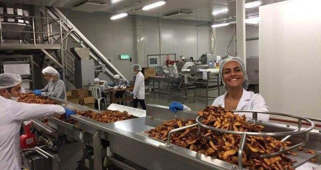 Hummer – Kakerlaken des Meeres