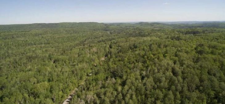 Platin verhilft zu sauberer Luft