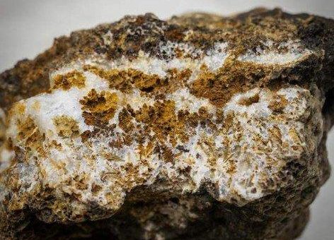 Gold für elektronische Hightech-Tattoos