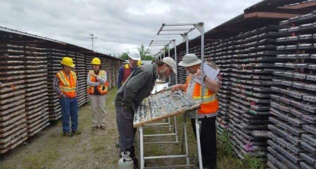 Maple Gold Mines erweitert hochgradige Vererzung der Nika Zone