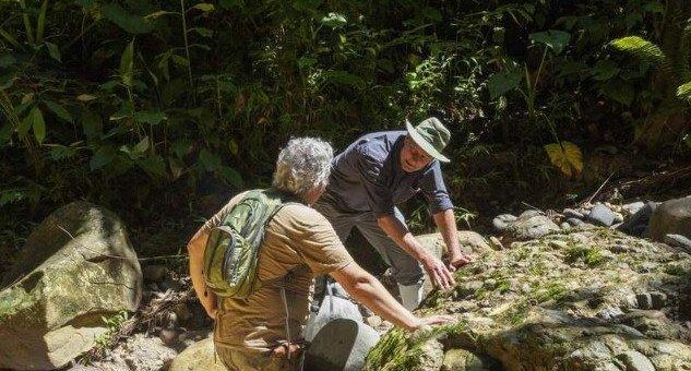 Aurania Resources goes Frankfurt und US Cobalt-Aktionäre stimmen für Übernahme