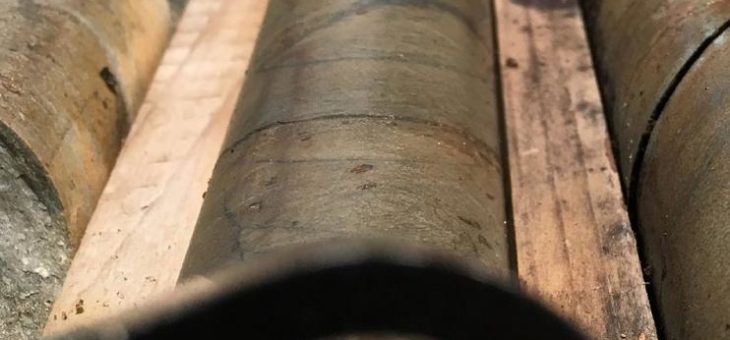 TerraX findet sichtbares Gold im historischen Bohrkern