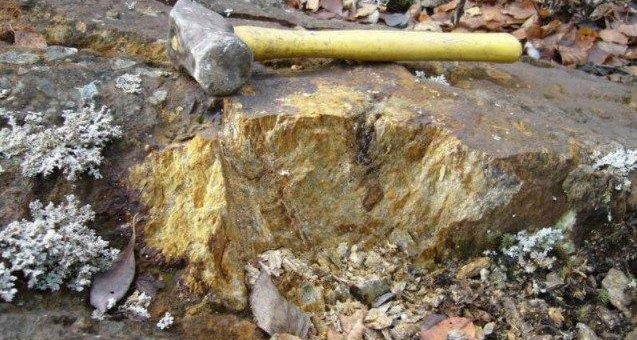 Maple Gold Mines Vorbereitungen laufen auf Hochtouren