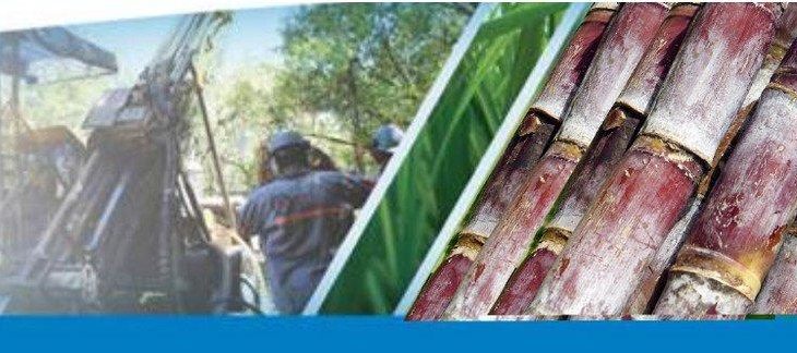 Was Kokoswasser mit Dünger zu tun hat