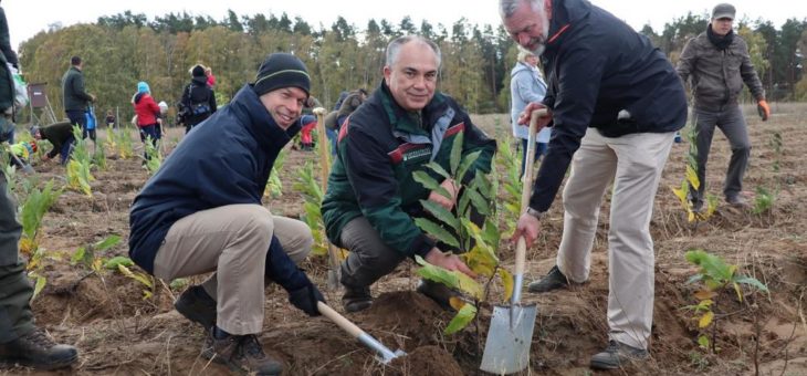 WEMAG-Kunden pflanzen 2.500 Bäume für den Klimaschutz