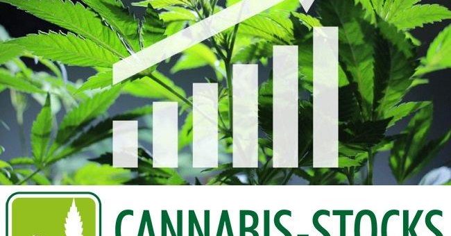 Cannabis-Aktien in neuer TSX30-Liste stark vertreten