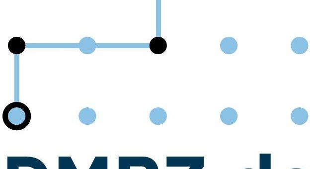 Positive Bilanz für DMRZ.de: Starker Besucherandrang