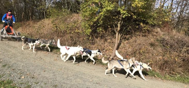 Der mit dem Musher fachsimpelt – Jetzt Oberharz-Special „Musherabend“ buchen