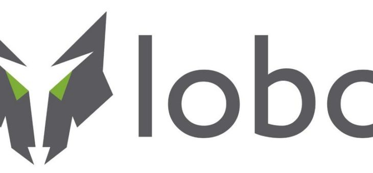 lobo auf der CEBIT 2018 – dem internationalen Marktplatz digitaler Lösungen aus der Informations- und Kommunikationstechnik