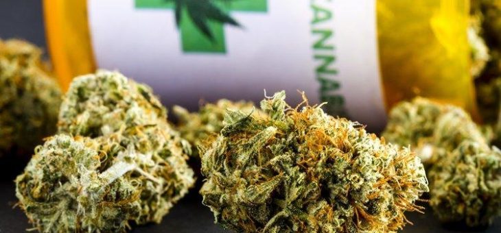Angesichst schwacher Märkte: MedMen sagt PharmaCann Fusion ab