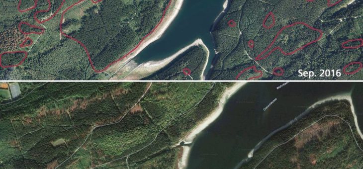 Niedersächsische Landesforsten – Wiederaufforstung beginnt mit Luftbildern