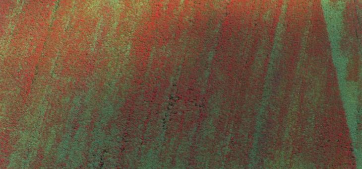 „Nothing is gonna change my world“: BfN zeigt den Wandel unserer Landschaften aus künstlerischer Perspektive