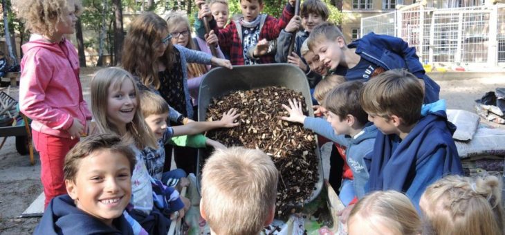 Kostenfreie Hochbeete für Berliner Grundschulen