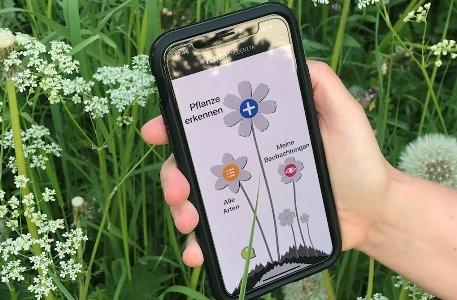 Flora Incognita: Digitale Pflanzenbestimmung für alle