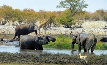 Namibia mit „Wow-Effekt“: neuer Trip durch unbekannten Norden