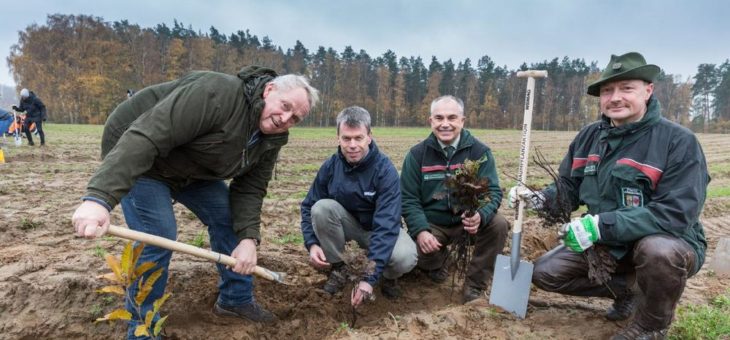 Gemeinsam Bäume pflanzen für mehr Klimaschutz