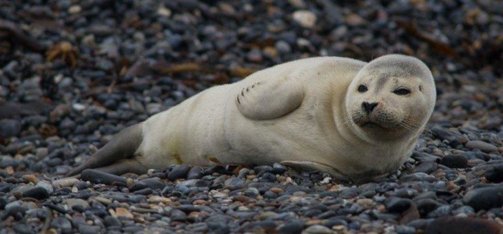 Fotoreise Helgoland