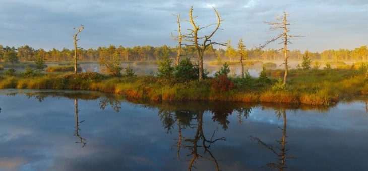 Naturerlebnis Estland