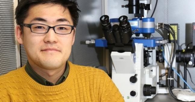 Untersuchung von Mechanotransduktionsmechanismen mit dem JPK NanoWizard® Rasterkraftmikroskop an der Universität Kyoto, Japan