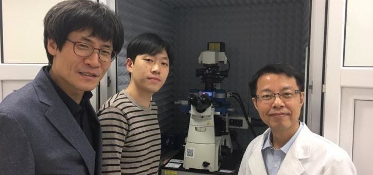 Untersuchung der Bindung des Transkriptionsfaktors Sox2 an Super-Enhancer mit dem JPK NanoWizard® ULTRA Speed Rasterkraftmikroskop an der Sungkyunkwan Universität (SKKU) in Suwon, Südkorea