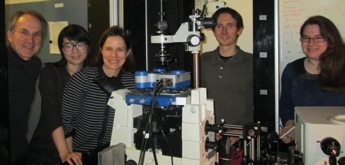 Untersuchung von Oberflächenplasmonen mit dem JPK Rastertunnel-mikroskop am Institut des Sciences Moléculaires d’Orsay, Paris