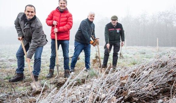 Nachhaltig für Klima und Artenvielfalt engagiert: SMC unterstützt Aufforstungsprojekt