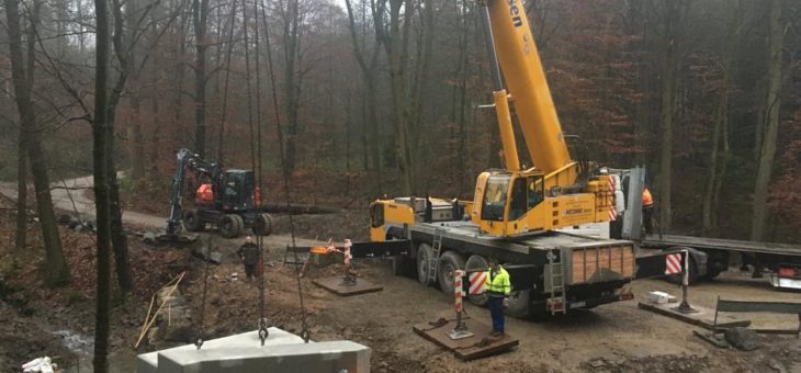 Landesforsten schaffen barrierefreies Fließgewässer