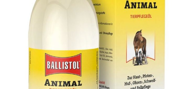 Hund und Katze beschenken: Last Minute-Idee
