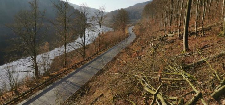Baumfällarbeiten nach Trockenschäden oberhalb der Odertalsperre beendet