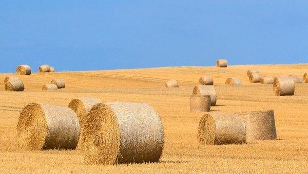 Davenport Resources: Kaliressource von Ohmgebirge steigt um über 100%!