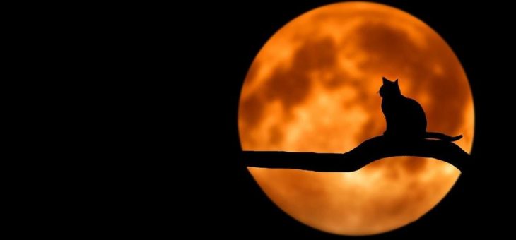 Wie Sie Ihr Marketing verbessern, indem Sie in-Domains für Vanity URLs verwenden