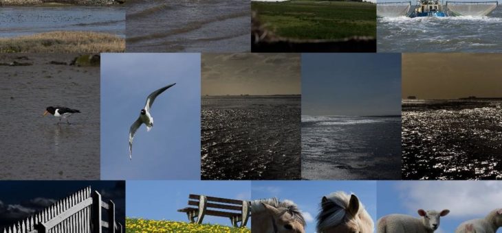 Intensive Fotokurse 2020 an der Nordsee
